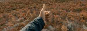 opiniones negativas canciones musica