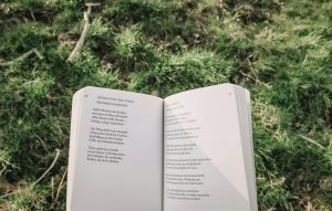 lenguaje literario letras canciones